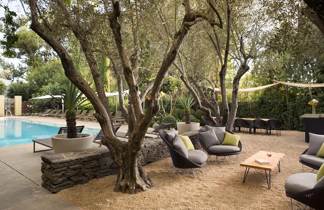 Hotel Healdsburg-1